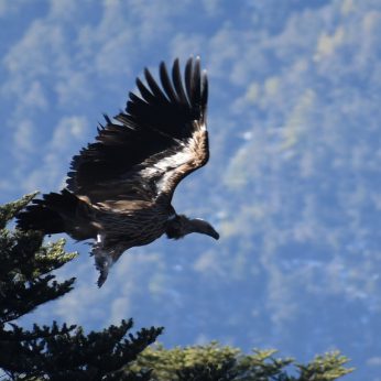 Heart Land Bhutan I | 9 Days