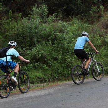 Cycling Tour